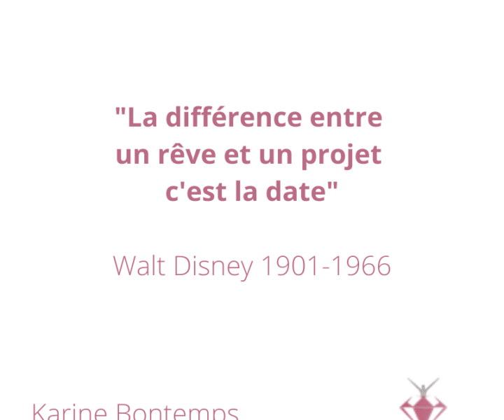 Projet selon Walt Disney